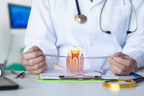Best Dentist for Tooth Abscess  in Bronson, FL